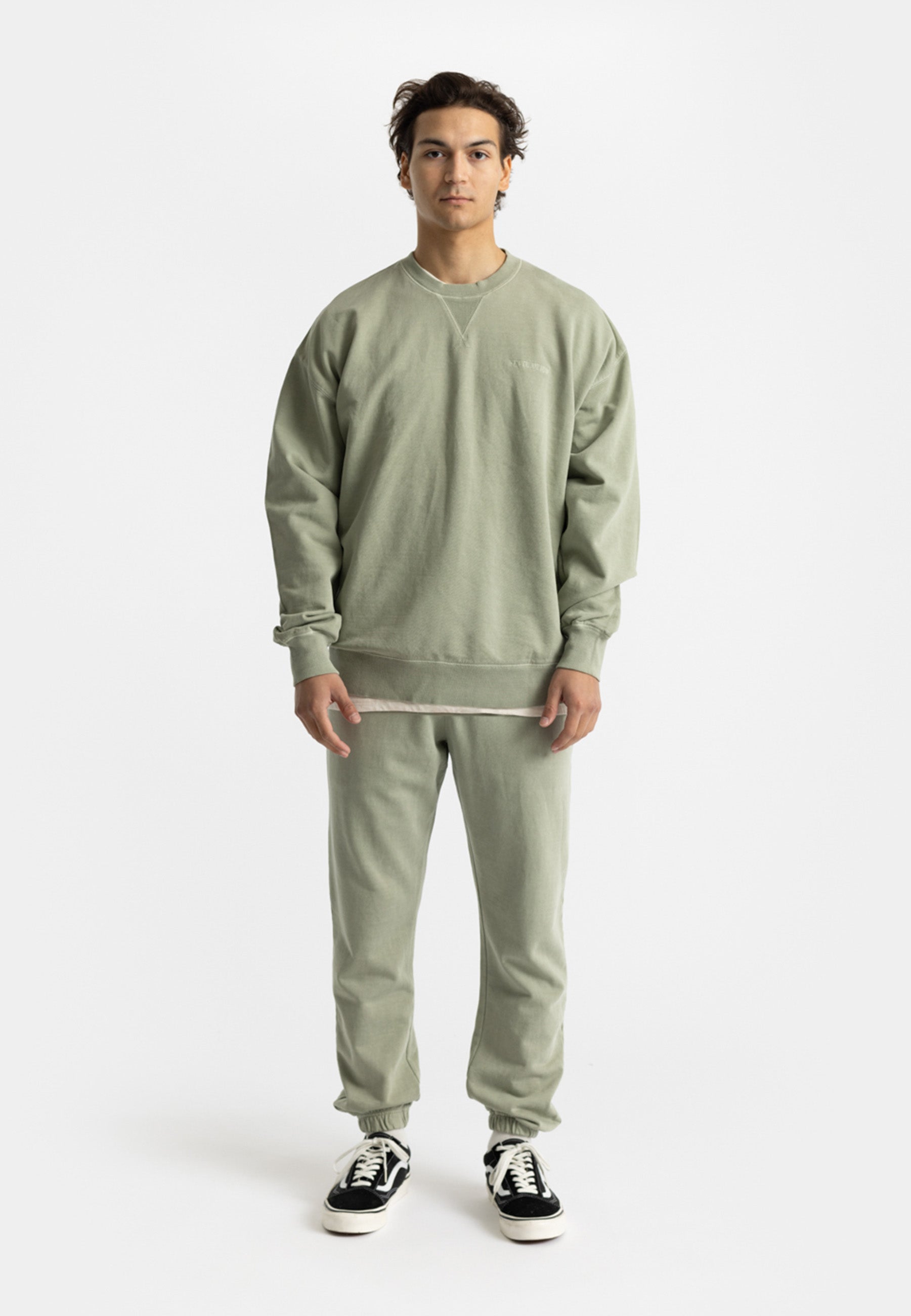 Revolution Application Sweatshirt Sweatshirts Lightgreen