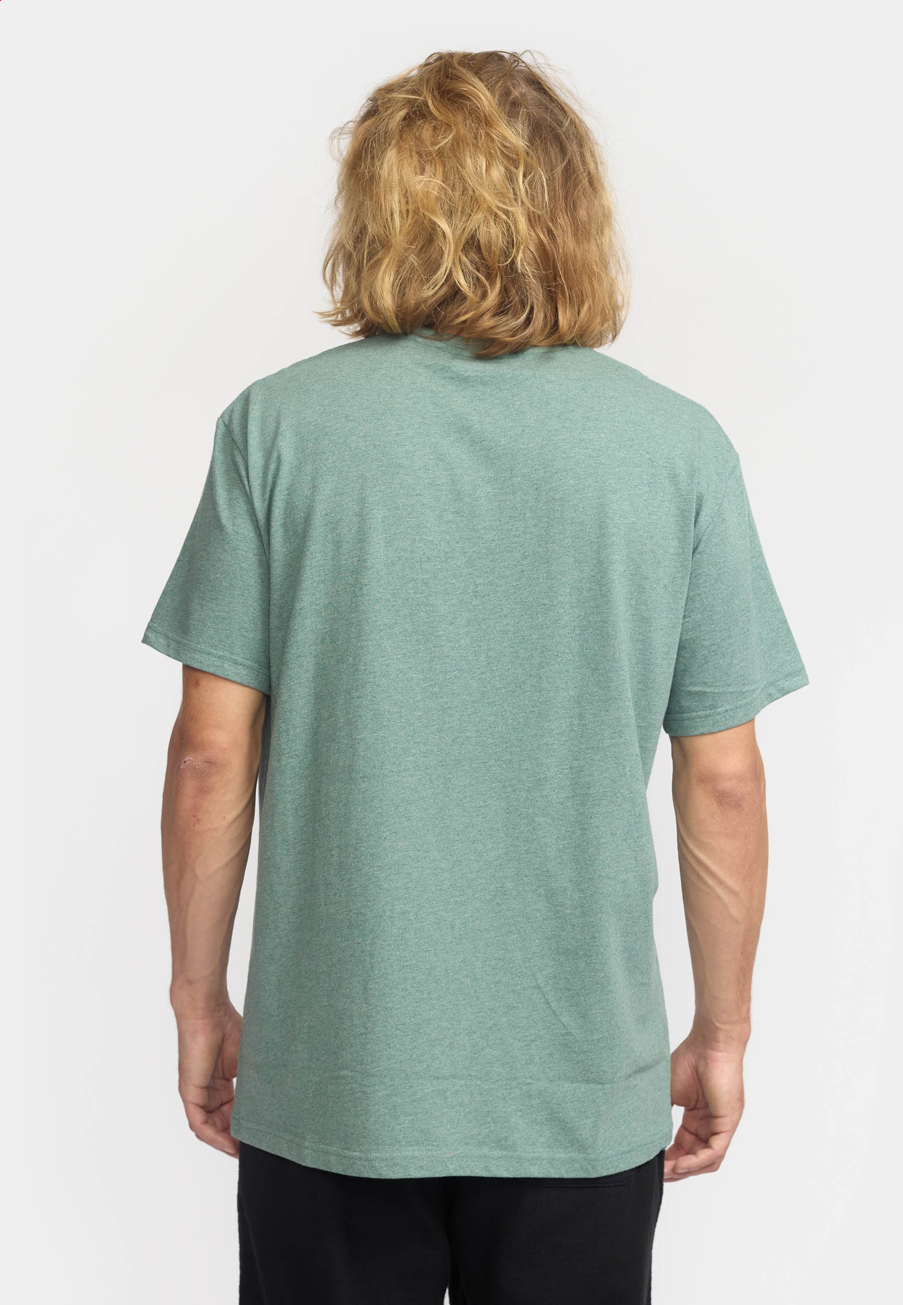 Revolution Application T-Shirt T-Shirts Dustgreen