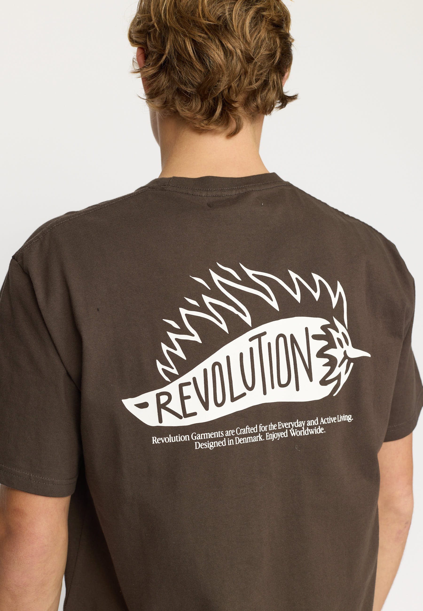 Revolution Application T-Shirt T-Shirts Brown