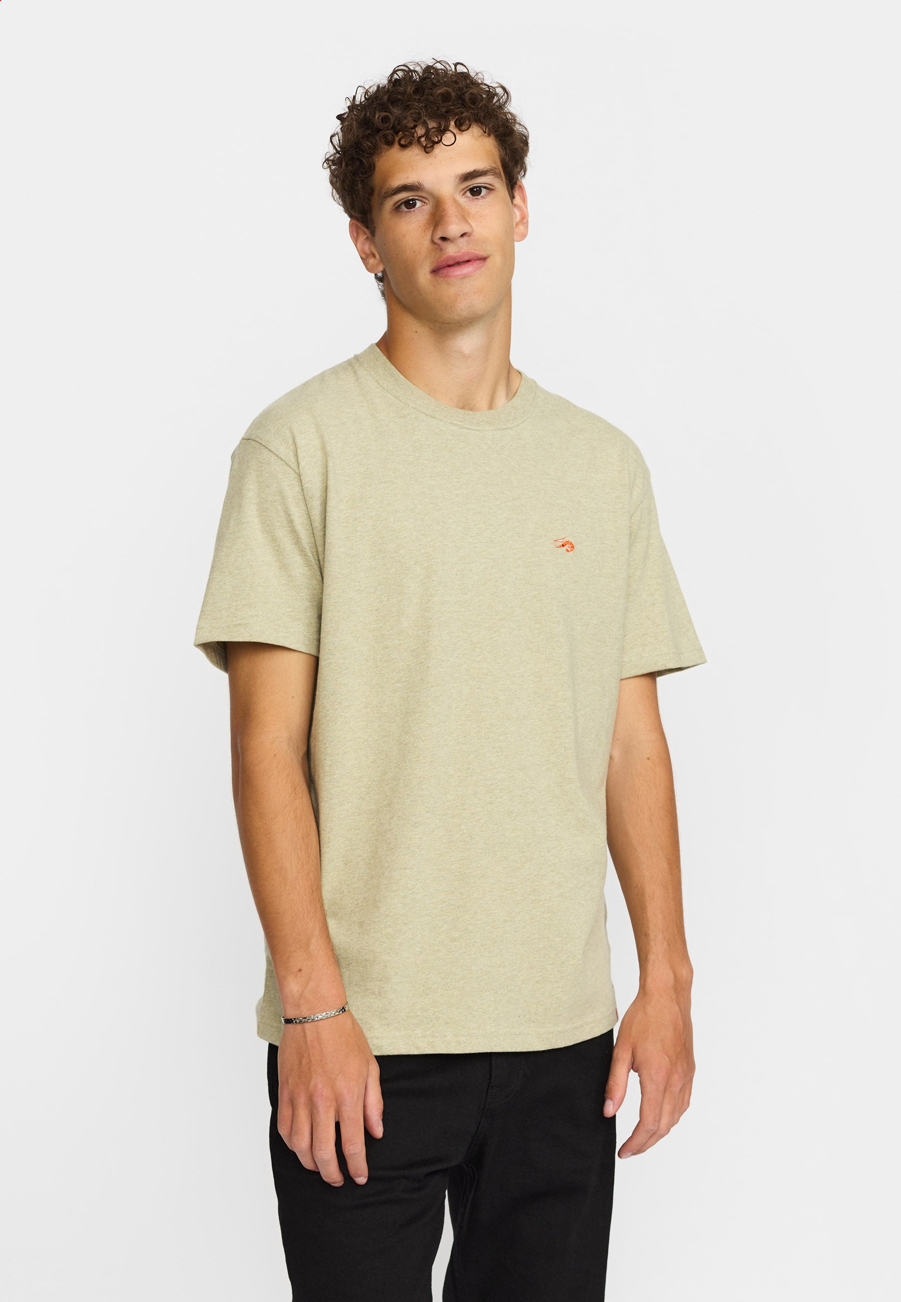 Revolution Application T-Shirt T-Shirts Lightgreen