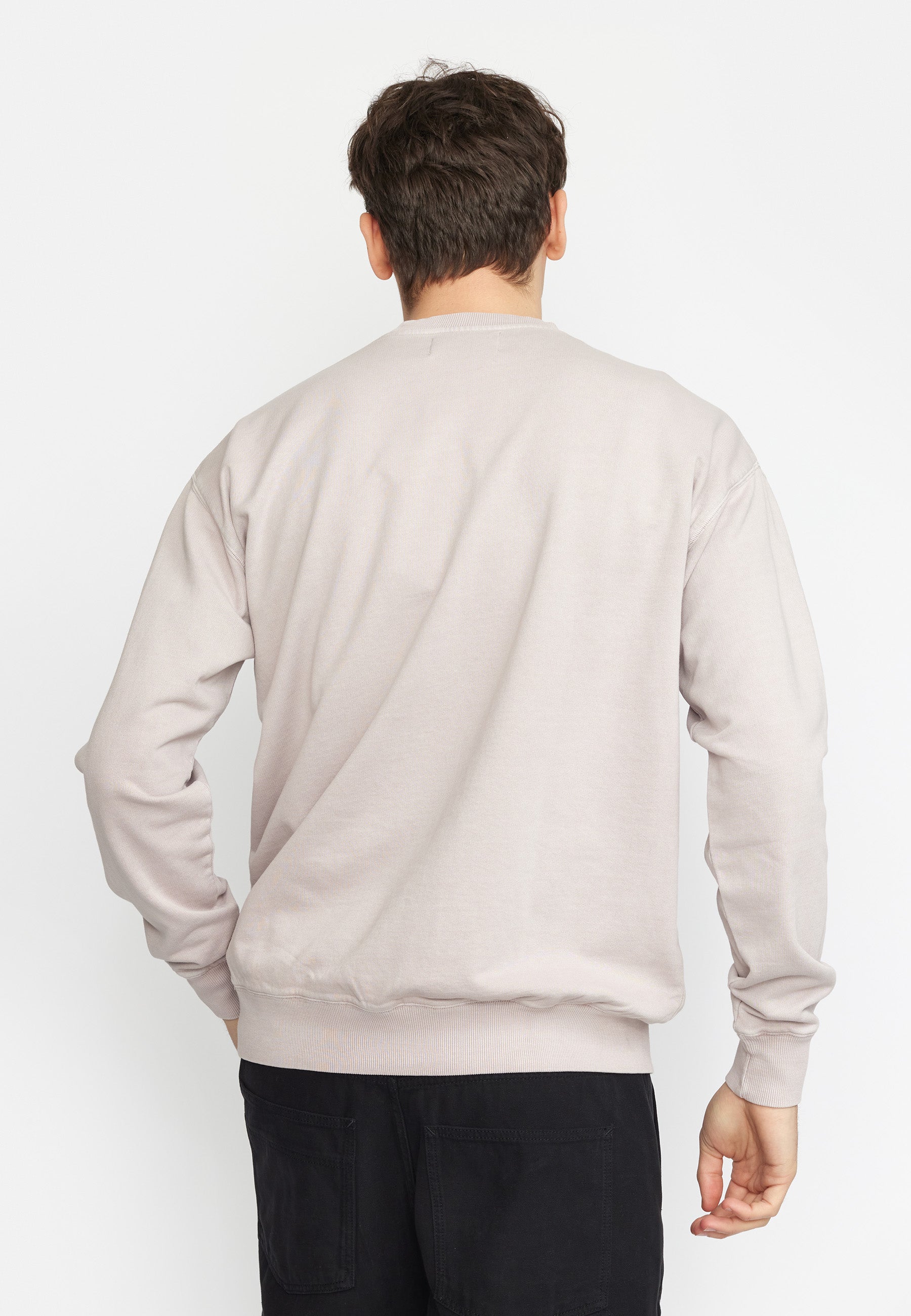 Revolution Application Sweatshirt Sweatshirts Lightpurple