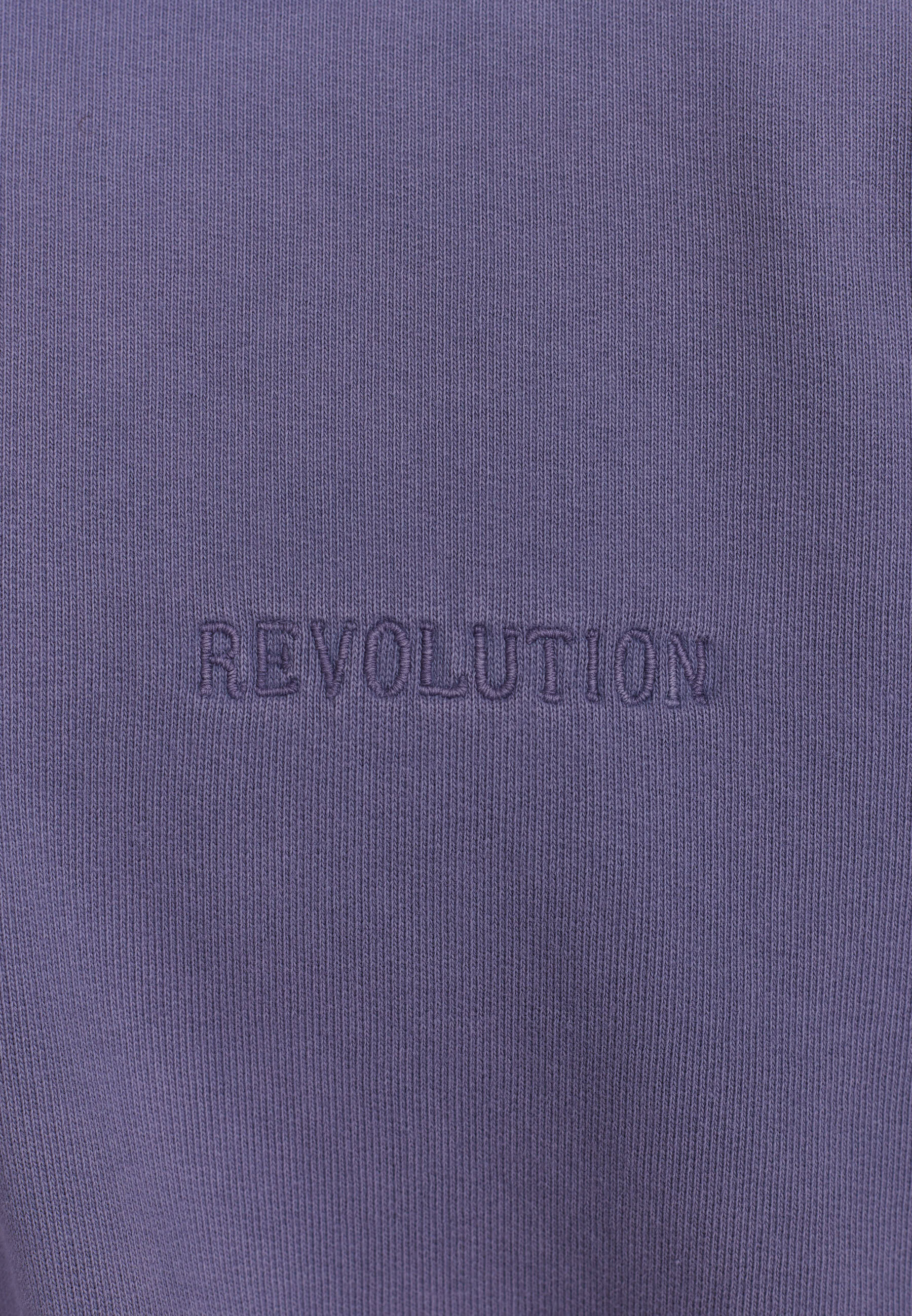 Revolution Loose Half-zip Sweatshirt Sweatshirts Purple