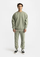 Revolution Application Sweatshirt Sweatshirts Lightgreen