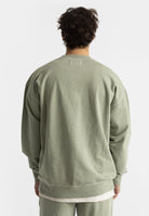 Revolution Application Sweatshirt Sweatshirts Lightgreen