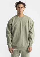 Revolution Application Sweatshirt Sweatshirts Lightgreen