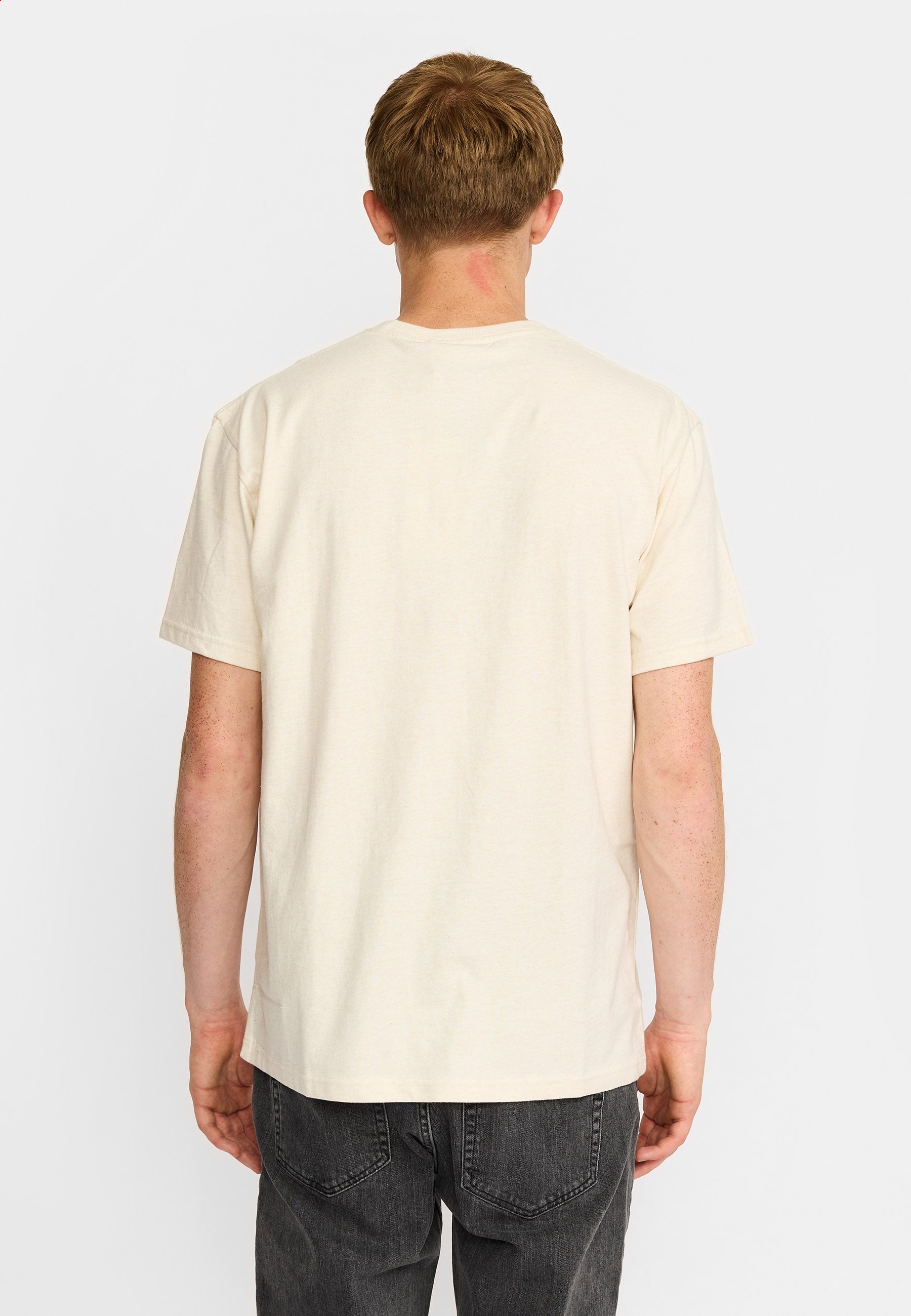 Revolution Application T-Shirt T-Shirts Offwhite-melange