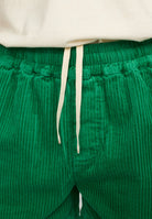 Revolution Casual Shorts Shorts Green