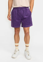 Revolution Casual Shorts Shorts Purple