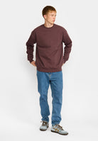 Revolution Loose Crewneck Sweatshirts Dustpurple