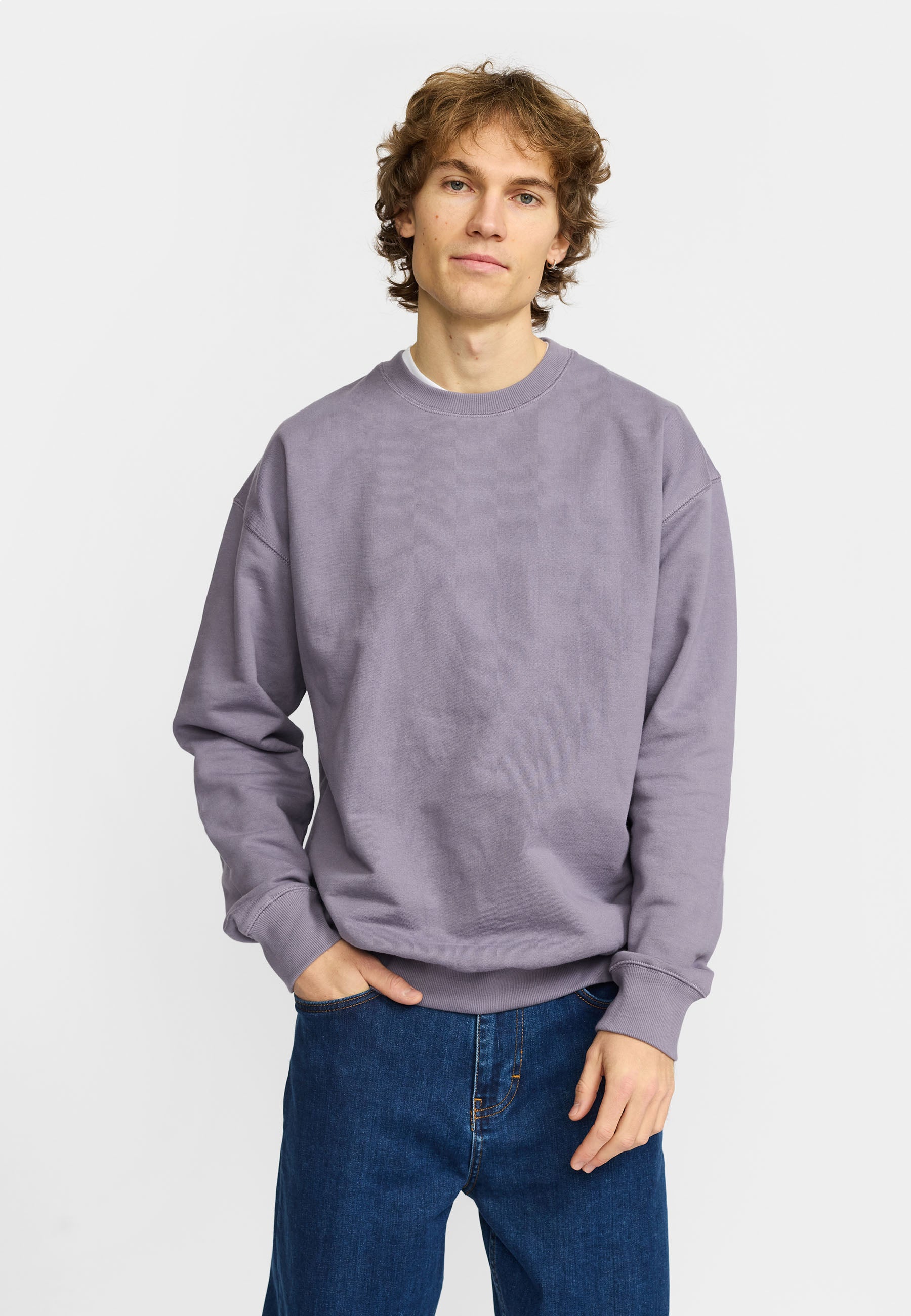 Revolution Loose Crewneck Sweatshirts Dustpurple