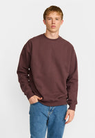 Revolution Loose Crewneck Sweatshirts Dustpurple